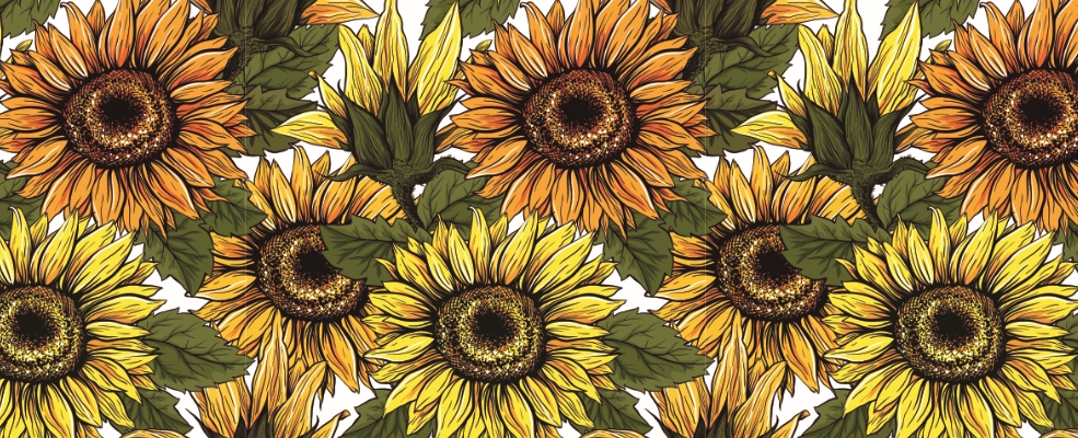 Unsere neue Papeterie-Serie Sonnenblumen